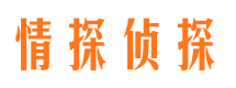 潜山婚外情调查取证